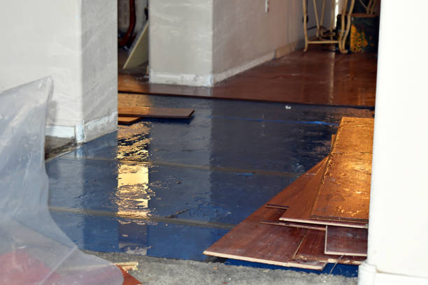 Professional Sewage Cleanup technician working in Trinity, TX